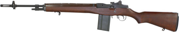 M14_1.jpg